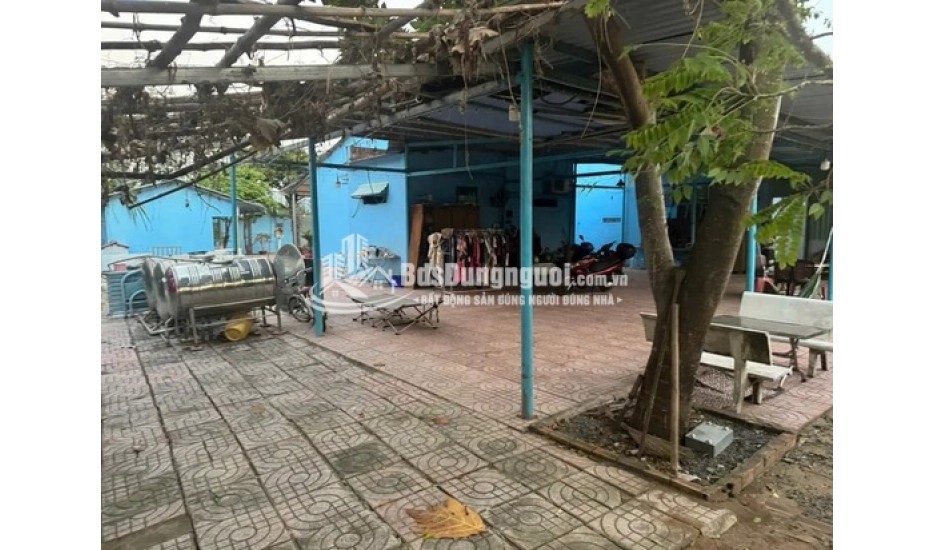 BÁN ĐẤTTRỒNG CÂY LÂU NĂM 300M2 XUNG QUANH ĐẦY ĐỦ TIỆN ÍCH SHR CHÍNH CHỦ KHÔNG TRANH CHẤP